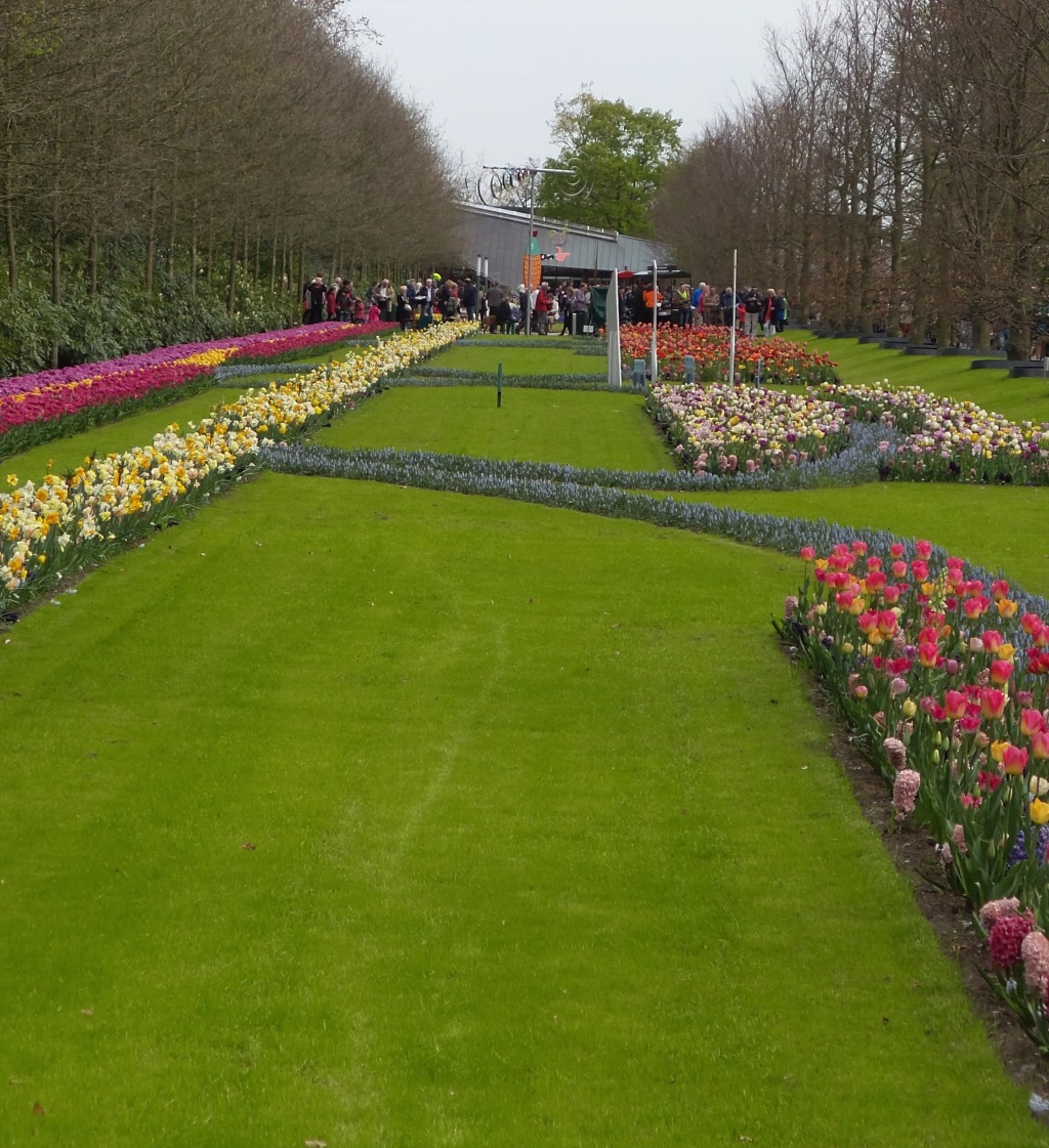 2014-04-17 Holland Tulips 31.jpg